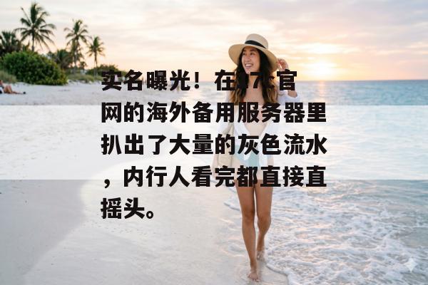 实名曝光!在17c官网的海外备用服务器里扒出了大量的灰色流水,内行人看完都直接直摇头。
