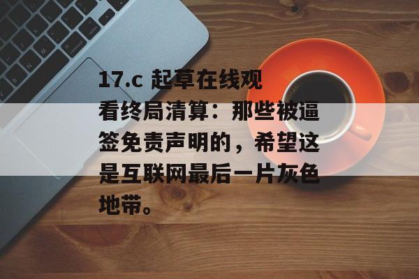 17.c 起草在线观看终局清算：那些被逼签免责声明的，希望这是互联网最后一片灰色地带。